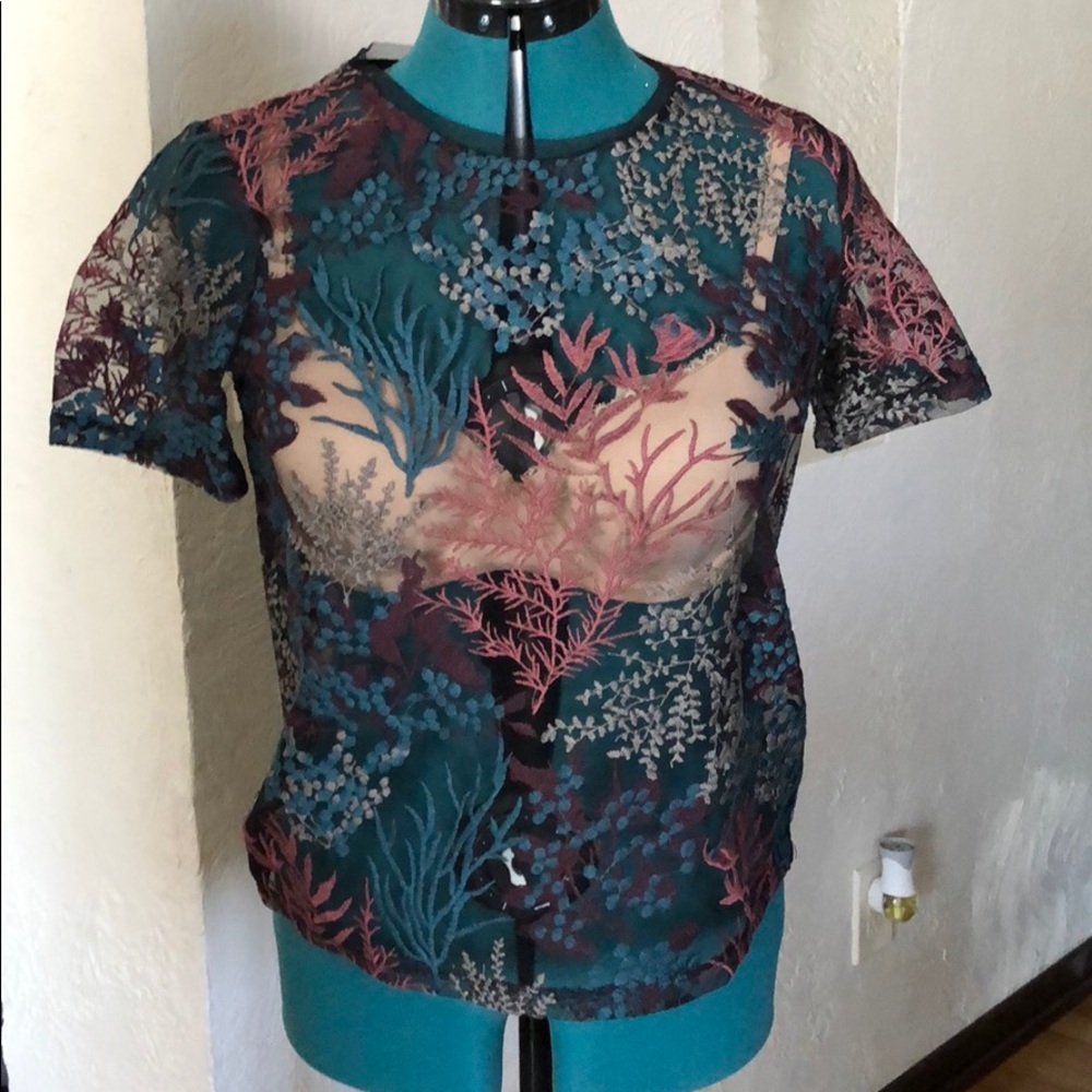 Zara sheer top